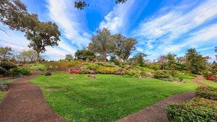 Japanese Garden - Cowra 